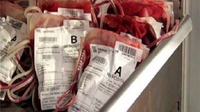 ظهور مافيا للتجارة بـ 