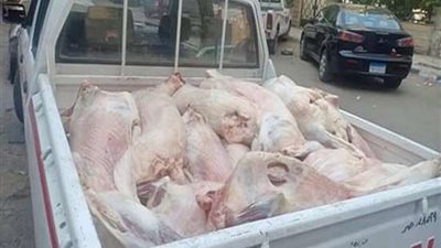 مباحث التموين تضبط لحوم وفراخ غير صالحة للاستهلاك في سوهاج