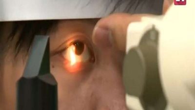 وباء قاتل.. ظهور فيروس فى أسراب النحل ببريطانيا