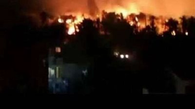 السيطرة على حريق نخيل بقرية الراشدة على مساحة 20 فدانا في الوادي الجديد