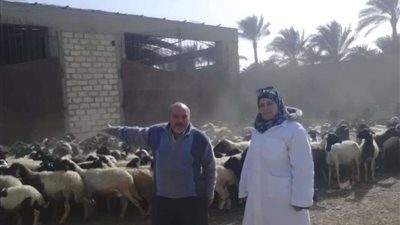 هل يمكن أن تصل مصر ؟ ..  انتشار الحمى القلاعية في أندونيسيا ورعب في نيوزيلندا وأستراليا