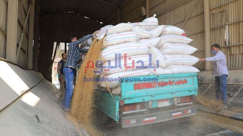 بلدنا اليوم