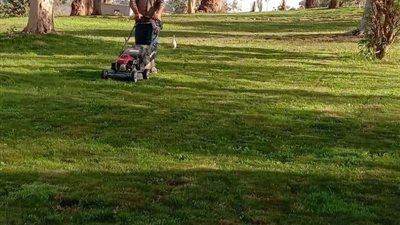 متابعة أعمال التطوير بحدائق محافظة كفر الشيخ