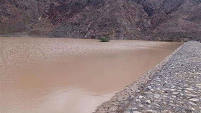 سيول الإمارات.. عمل موظفي القطاع الخاص عن بعد يومي الخميس والجمعة