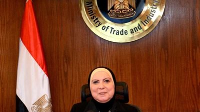 قطاع الأعمال ووزيرة الصناعة يتفقان على منظومة تداول الأقطان للموسم الجديد