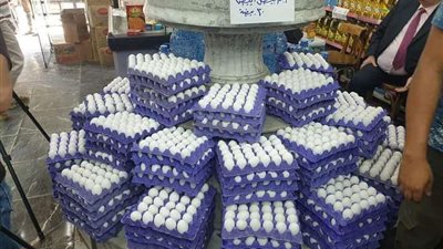 شعبة الدواجن: انخفاض كبير في أسعار البيض