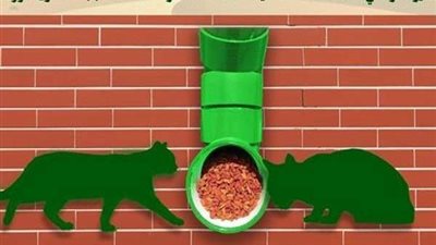 السعودية تطلق مبادرة حكومية لإطعام القطط في شوارع محافظة عنيزة