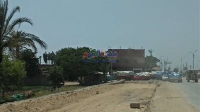 مطاحن بني سويف تستقبل سيارات نقل محملة بالقمح ضمن موسم التوريد.. 