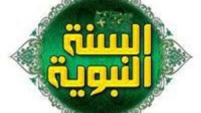 الشيخ فتحي الحلواني: تحديد أسباب نزول السنة النبوية يغلق باب الفتنة.. فيديو