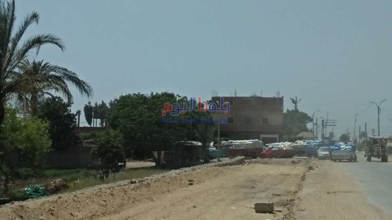 بلدنا اليوم
