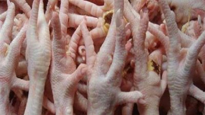 ضبط 12 طن أرجل دجاج مجهولة المصدر بالقاهرة