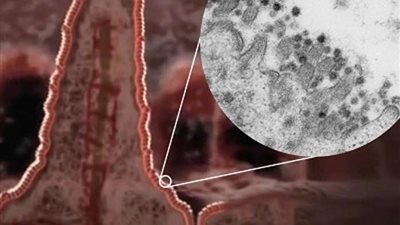 عالم إيطالي: لا تخافوا 