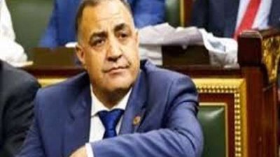 مدير مستشفى شربين: 