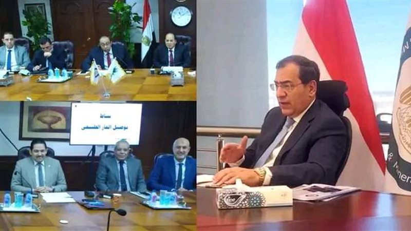 وزير البترول والثروة