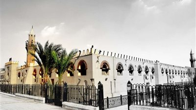 بث مباشر.. طه النعماني يؤم المصلين في التراويح بجامع عمرو بن العاص