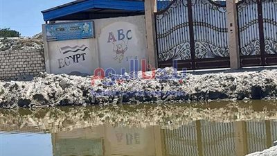 أهالي قرية الحماد بكفر الشيخ يستغيثون: الأمراض والجراثيم تقتلنا بسبب المياه الملوثة