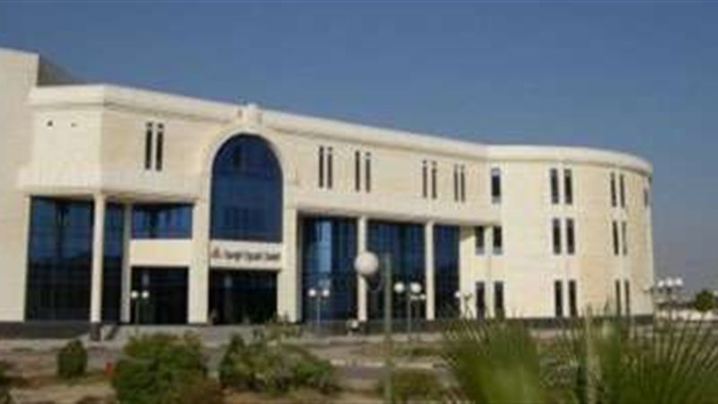 الجامعة المصرية الروسية
