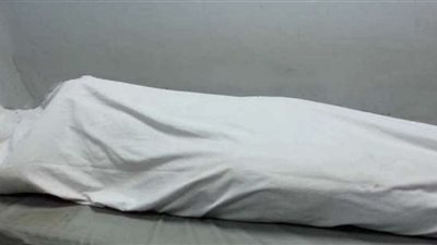 مصرع طفل نتيجة صعقه بالكهرباء بقرية في كفر الشيخ