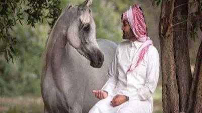 أحمد آل ثاني: الاستثمار في تربية الخيول فرصة ذهبية ومصدر كبير للدخل