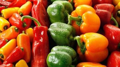 الزراعة توضح حقيقة رفض ليبيا شحنة الفلفل المصرية