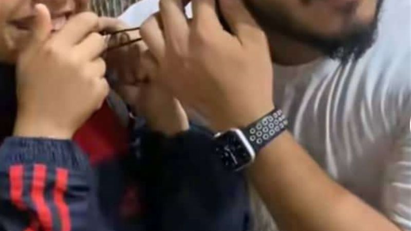 محمود شيبة