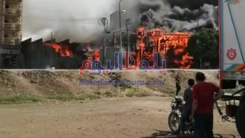 بلدنا اليوم