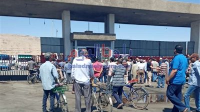 بعد تسجيل 3 إصابات بكورونا.. تكدس العاملين بمصنع سكر جرجا 