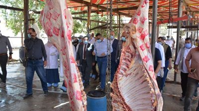 محافظ الدقهلية يتفقد المجزر الآلي بميت الكرماء مركز طلخا