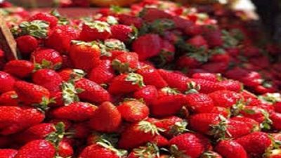 مركز التجارة العالمية: مصر الأولى عالميا في تصدير الفراولة المجمدة