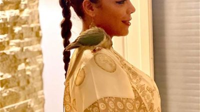 بعد بوسة البغبغاء.. ناهد السباعي تثير ضجة بهذه الإطلالة