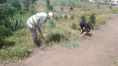 مباحث الدقهلية تكثف جهودها لكشف لغز العثور على جثة متفحمة ملقاه بقرية غزالة