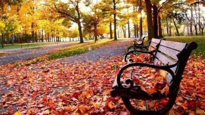 موعد بداية فصل الخريف 2022