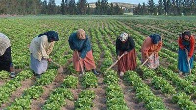 هتاخد 10 آلاف جنيه.. شروط قرض باب رزق للمرأة الريفية والمعيلة