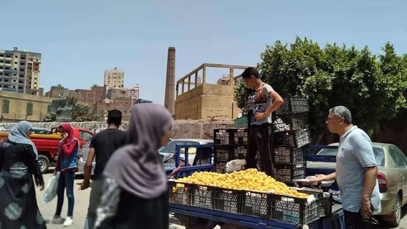 بلدنا اليوم