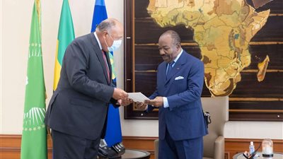 وزير الخارجية يلتقي رئيس الجمهورية الجابونية