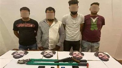 ضبط عصابة ترتدى قناع محمد صلاح لسرقة المحلات