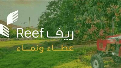 الشروط وخطوات التسجيل.. الحق قدم على استحقاق دعم ريف للأسر المنتجة