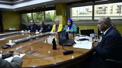 بالفيديو كونفرانس.. 