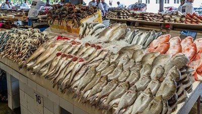 البوري بـ70 جنيه.. أسعار السمك اليوم الخميس 1-9-2022 في السوق