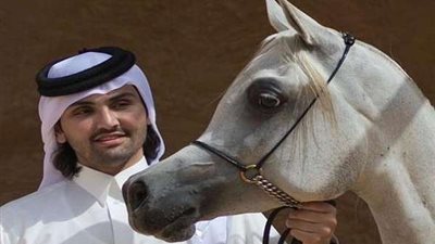 أحمد عبدالله: تنظيم بطولات الفروسية مصدر قومي للدخل