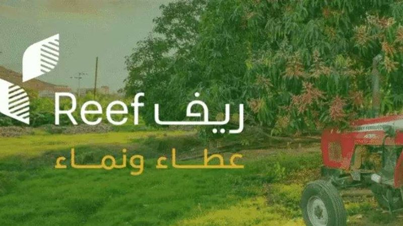 دعم ريف للأسر المنتجة