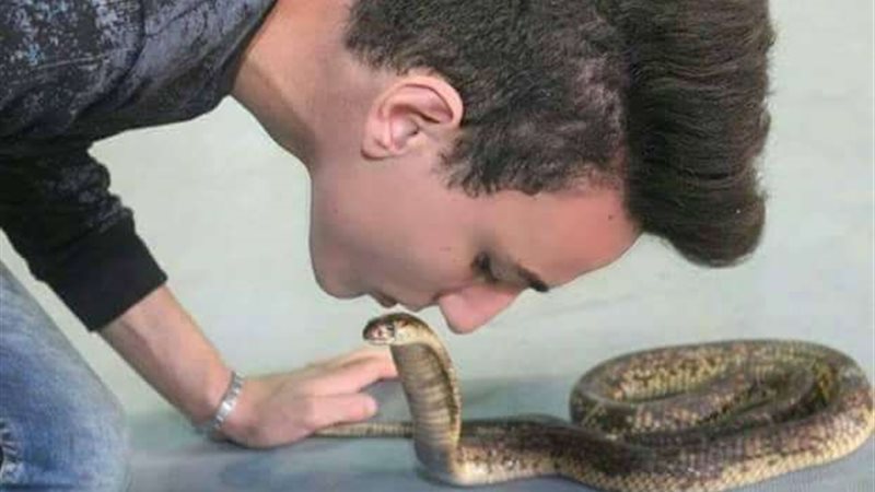 حسني كوبرا