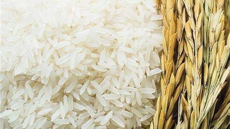 أسعار الأرز