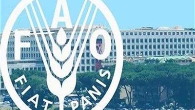 انخفاض أسعار الغذاء العالمية.. تفاصيل