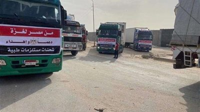 الهلال الأحمر يسير قافلة مساعدات طبية إلى فلسطين.. صور