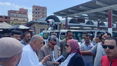 محافظة كفر الشيخ تشهد أعمال رصف تمهيد لتعديل طرق بدسوق وبالرياض