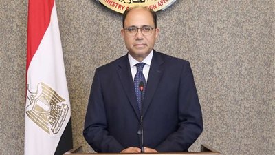 قراراً بتعيين السفير أحمد أبو زيد متحدثاً رسمياً باسم وزارة الخارجية