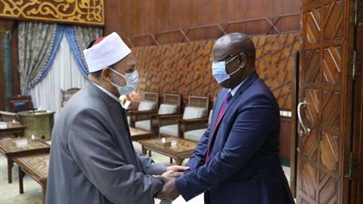 «الطيب» ووزير داخلية النيجر يناقشان تعزيز الاستفادة من جهود ومناهج الأزهر
