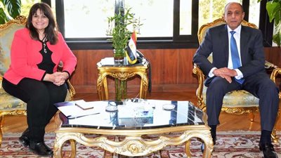 الطيران والهجرة يقدمان تيسيرات للمصريين بالخارج