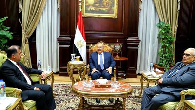 رئيس مجلس الشيوخ يلتقي سفير طاجيكستان بالقاهرة لتبادل الخبرات